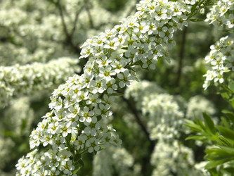 Similar image 21423801