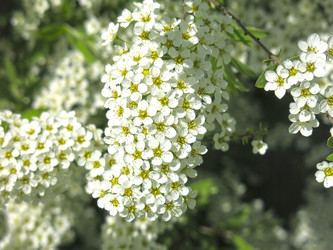 Similar image 21423803