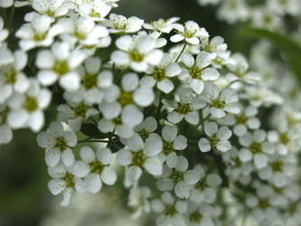 Similar image 21423806