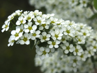 Similar image 21423807