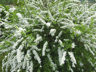 Similar image 21423809