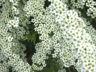 Similar image 21423810