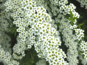 Similar image 21423811