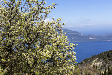 Similar image 21425786