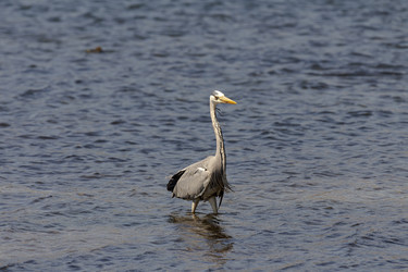 Similar image 21423591