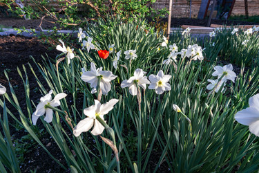 Similar image 21423159