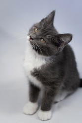 Similar image 21423164