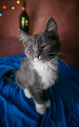 Similar image 21423166