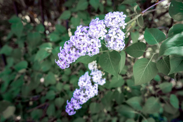 Similar image 21423171