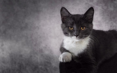 Similar image 21423176