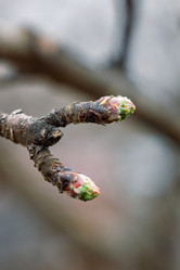 Similar image 21423201