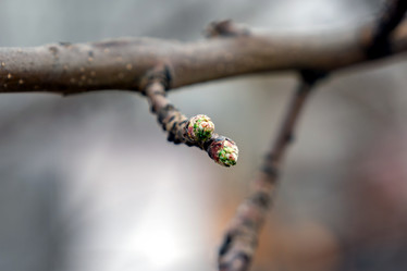 Similar image 21423203