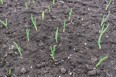 Similar image 21423204