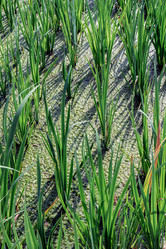 Similar image 21423222