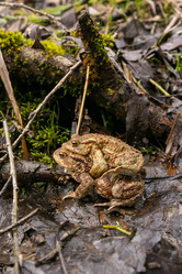 Similar image 21422141