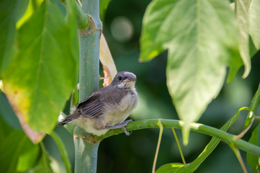 Similar image 21423224