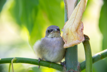 Similar image 21423225