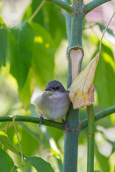 Similar image 21423227