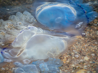 Similar image 21422235