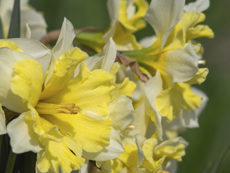 Similar image 21422245