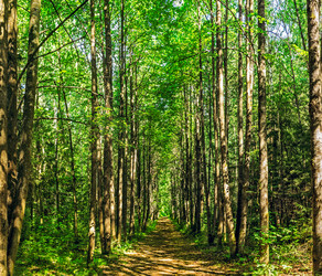 Similar image 21422255