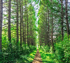 Similar image 21422257