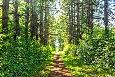 Similar image 21422258