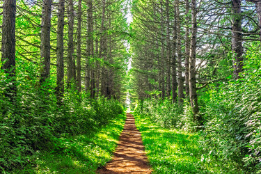 Similar image 21422262