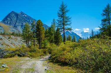 Similar image 21422263