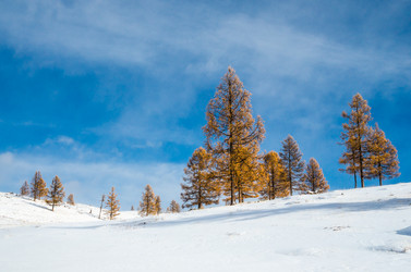 Similar image 21422269