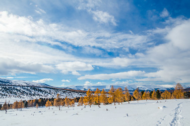 Similar image 21422270