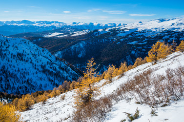 Similar image 21422271