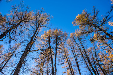 Similar image 21422272