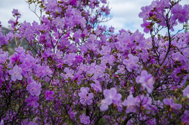 Similar image 21422273