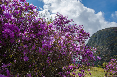 Similar image 21422274