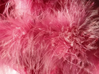 Similar image 21426870