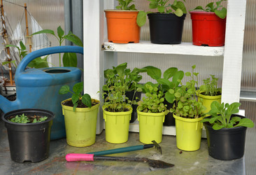 Similar image 21423825