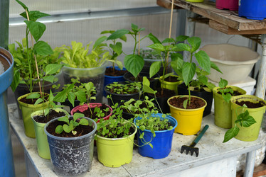 Similar image 21423826