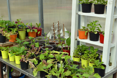 Similar image 21423828