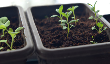 Similar image 21423830