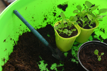 Similar image 21423832