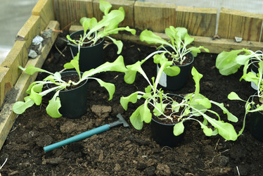 Similar image 21423836