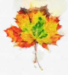 Similar image 21426909