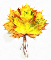 Similar image 21426910