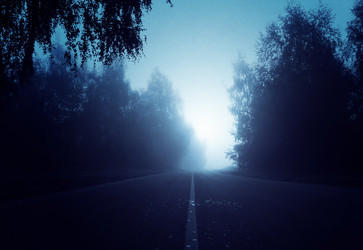 Similar image 21426915