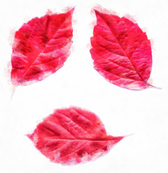 Similar image 21426919