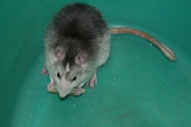 Similar image 21422278