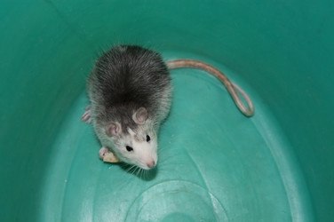 Similar image 21422279