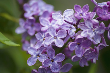 Similar image 21422280