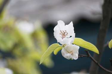 Similar image 21422281